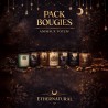 Pack bougies animaux totem