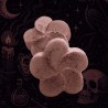 Fondants parfumés floraux fleurs | Ethernatural