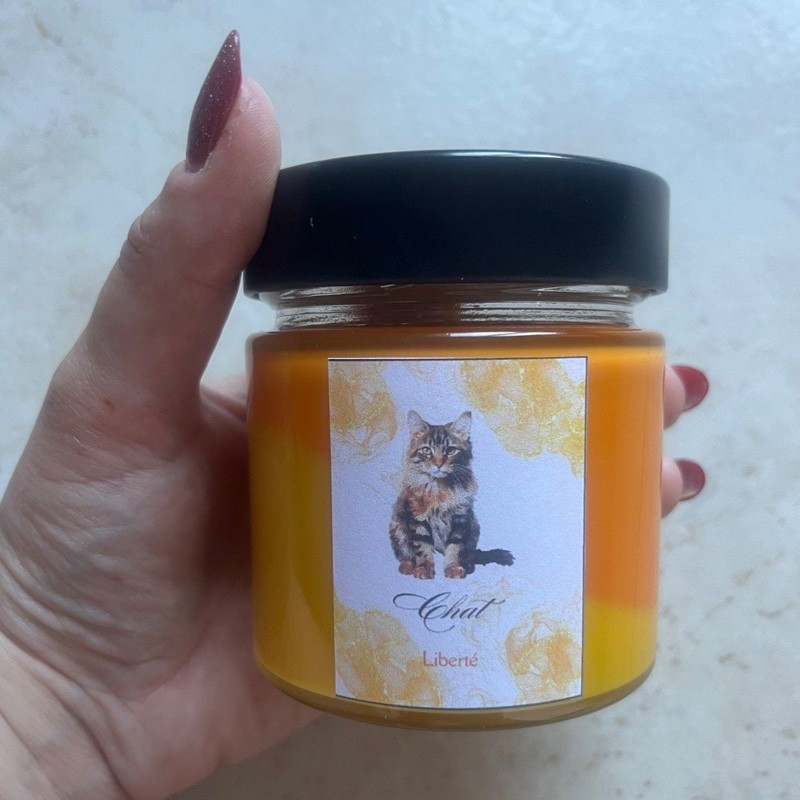 Bougie animaux totem non parfumée | Ethernatural